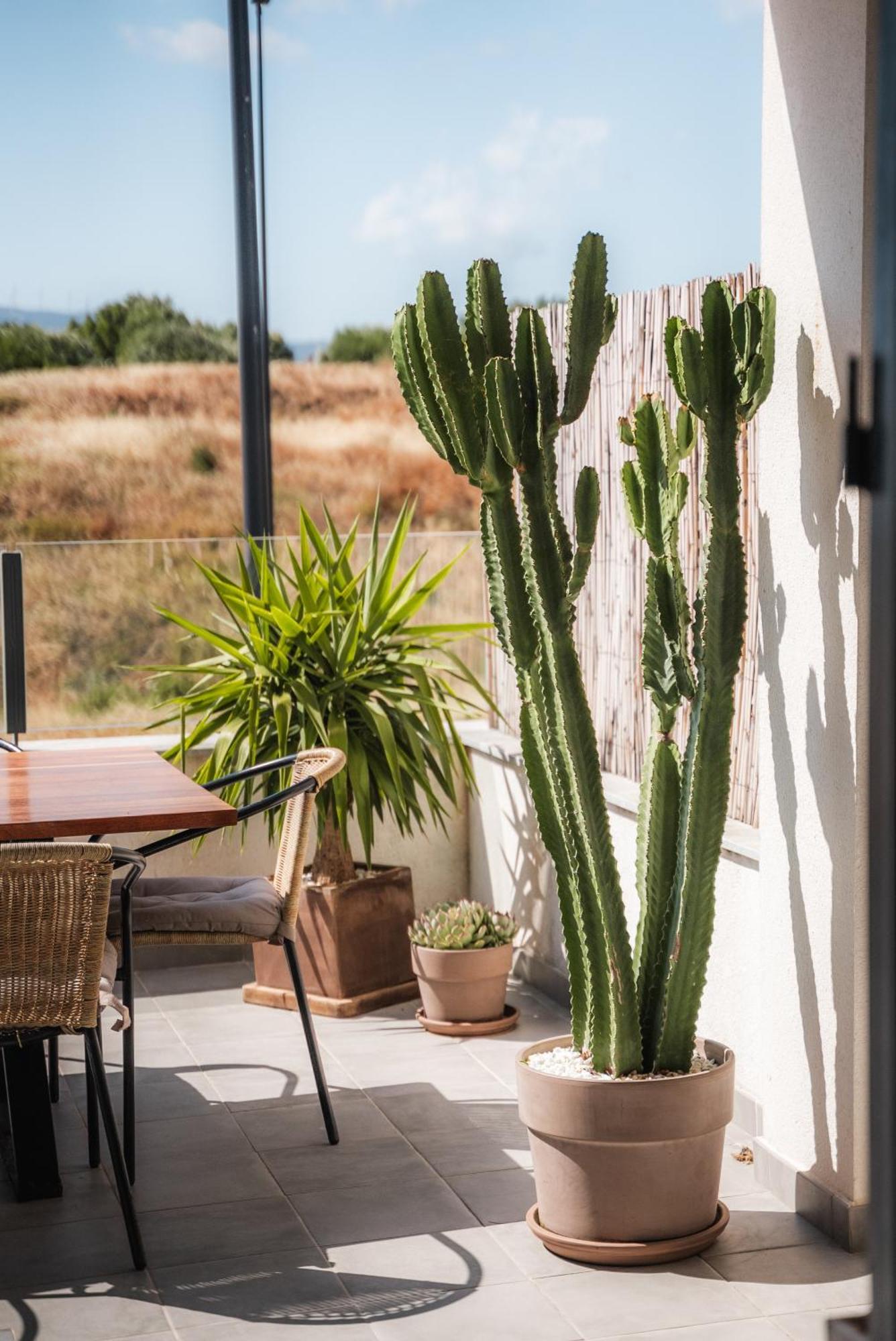Apartamento Cozy House - Chill Out